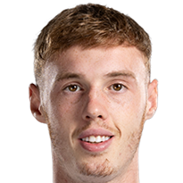 帕尔默